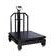 باسکول محک ثابت 1500 کیلوگرم 120x120 باسکول محک ثابت 1500 کیلوگرم 120x120