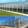 پوشش گلخانه،ورق پلی کربنات گلخانه