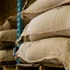 قهوه عربیکا و روبوستا قهوه عربیکا و روبوستا