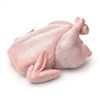 مرغ گرم و منجمد وارداتی مرغ گرم و منجمد وارداتی