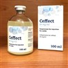 Ceffectسفکوئینوم Ceffectسفکوئینوم