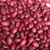 لوبیا زود پخت لوبیا زود پخت