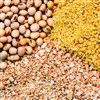 کنجاله سویا کنجاله سویا