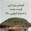 آویشن زیره ای 