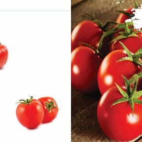بذر گوجه فرنگی سوپر استار 