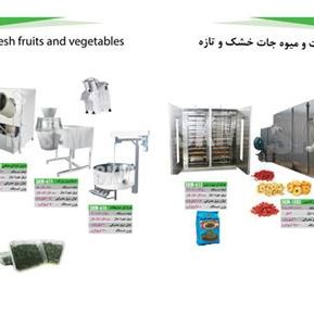 خط فراوری و بسته بندی سبزیجات و میوه جات خشک