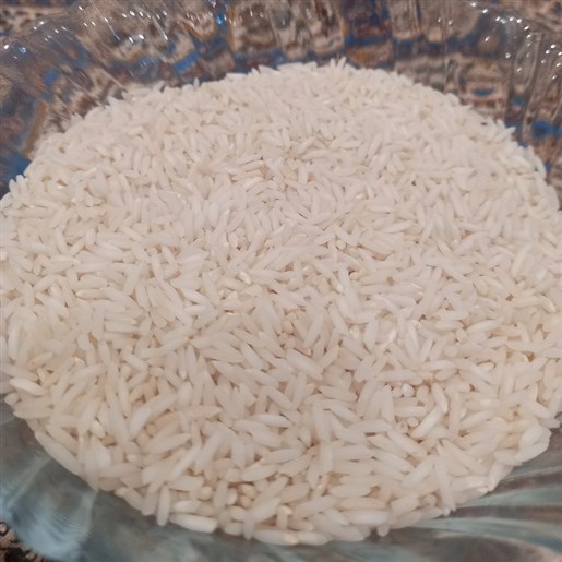 برنج طارم ممتاز ۲۵ کیلویی