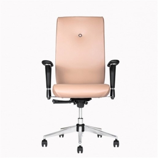 صندلی مدیریتی رومیس مدل-MOCM810
