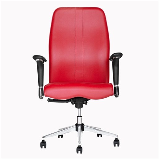 صندلی مدیریتی رومیس مدل-MOCM825