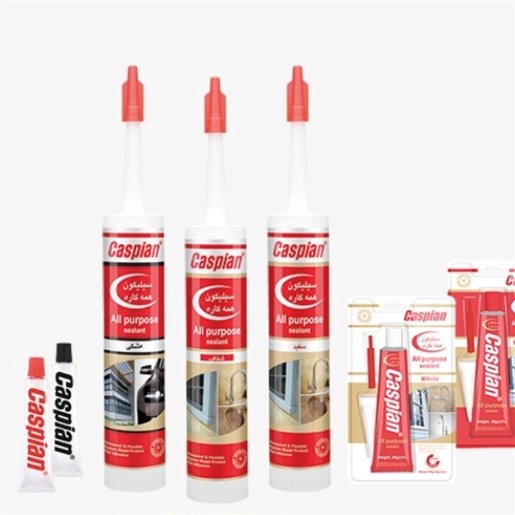 سیلیکون کاسپین300 میلی گرم ضدقارچ ضدباکتری