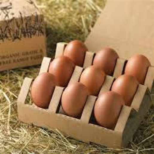 تخم مرغ محلی(رسمی) 