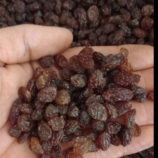 کشمش پلویی ، طلایی ، تیزابی