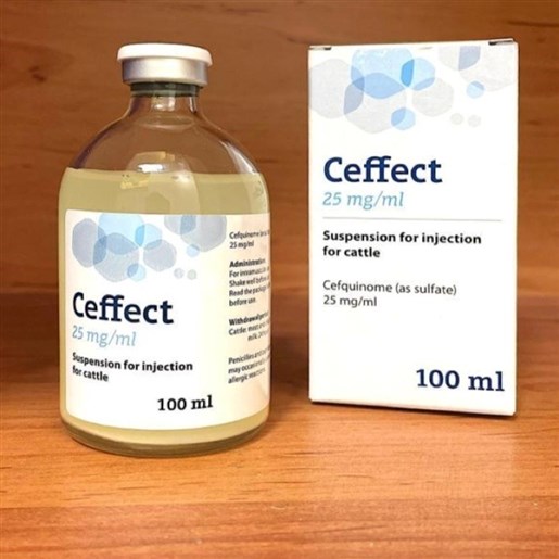 Ceffectسفکوئینوم