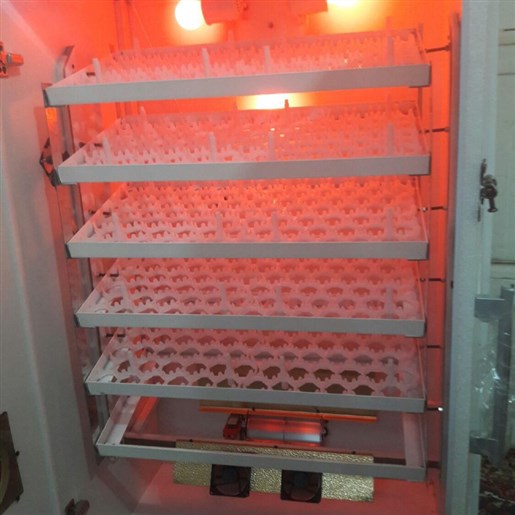 دستگاه جوجه کشی ۵۰۰ عددی