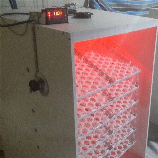 دستگاه جوجه کشی 126 تایی