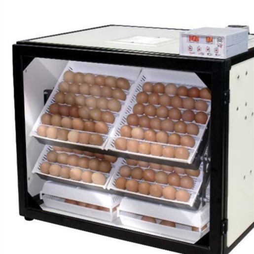 دستگاه جوجه کشی ۲۵۲تایی