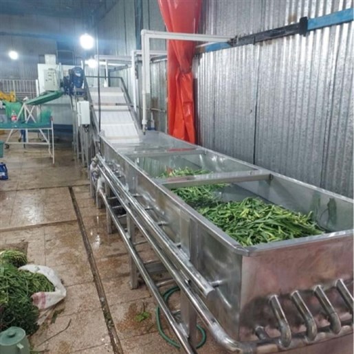 خط شستشوی سبزی