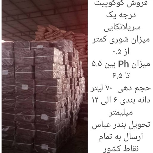 کوکوپیت فاین