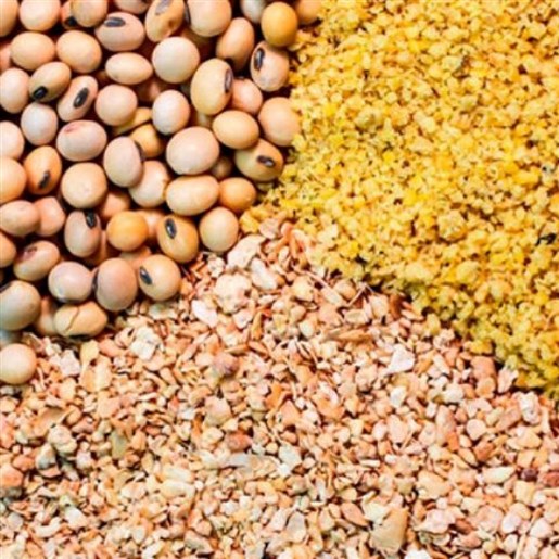 کنجاله سویا