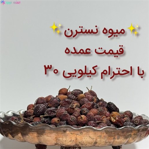 میوه نسترن 