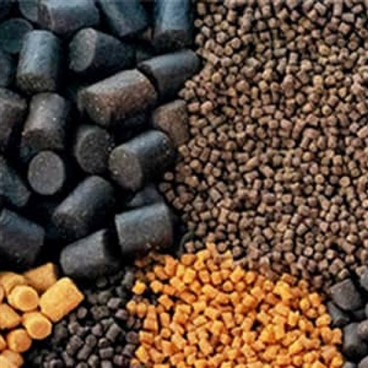 خوراک آبزیان کپور با بهترین انالیز ایران