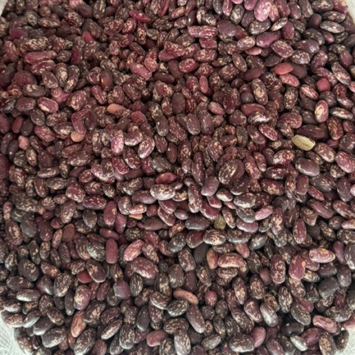 لوبیا چیتی صنعتی