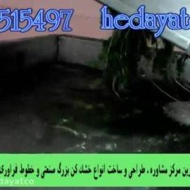 خط شستشوی سبزی و میوه