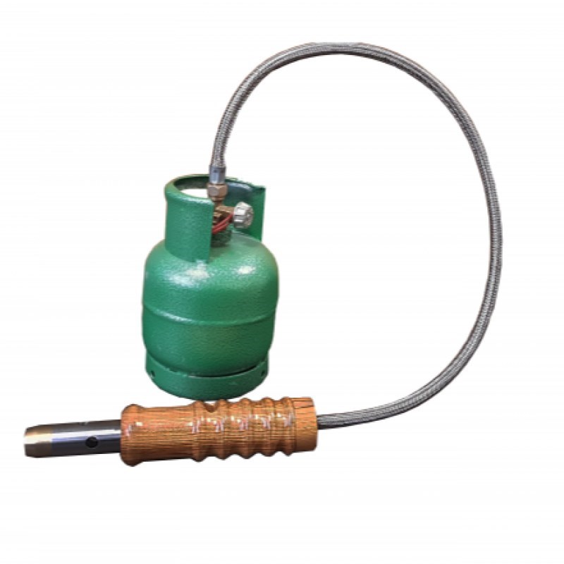 شاخسوز گوساله