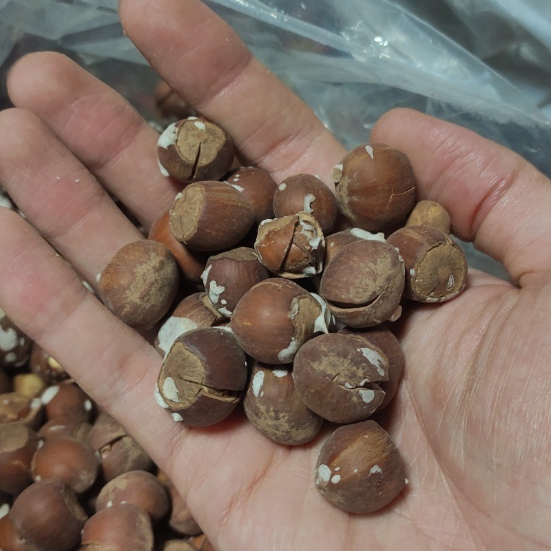 فندق شکسته نمکی اشکورات اعلا