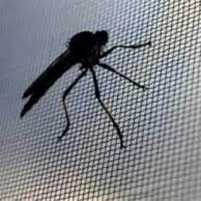 توری پشه ای گالوانیزه