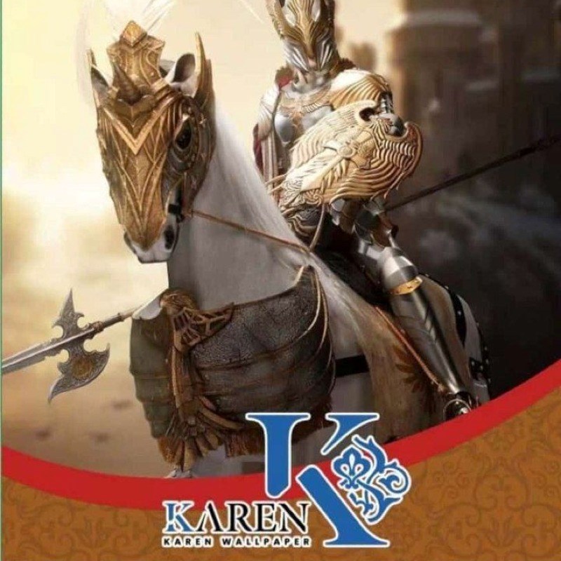 آلبوم کاغذ دیواری پیکادور PICADOR