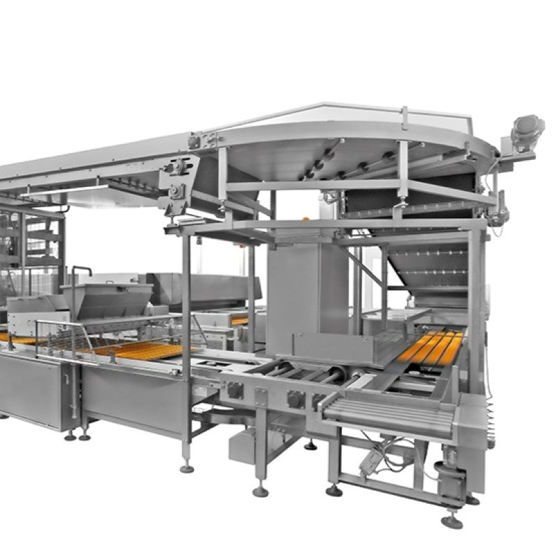 خط تولید کیک لایه ای