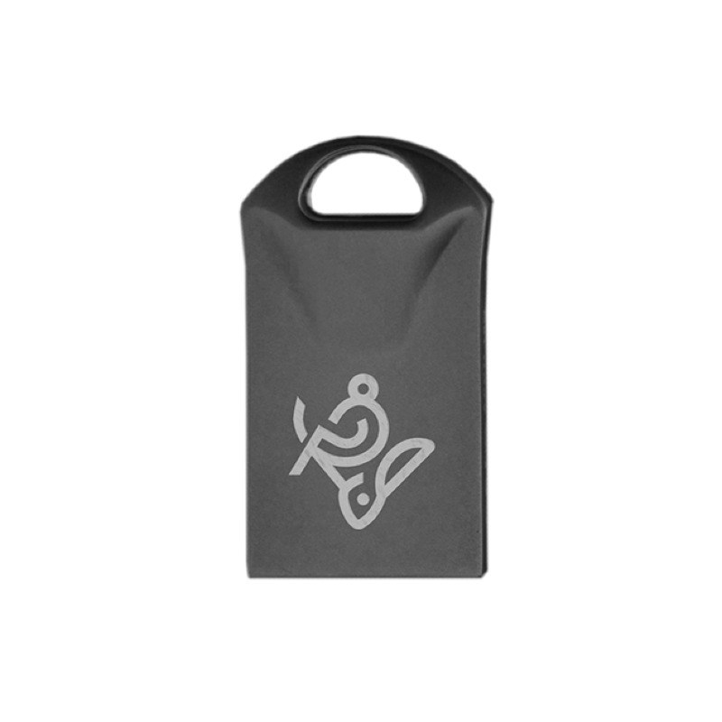 فلش مموری ALIEN IQ301 8GB