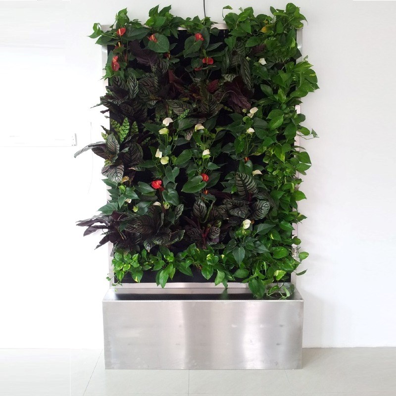 دیوار گل پیوسته طبیعی باکس گلدان دیواری مدل HD-2