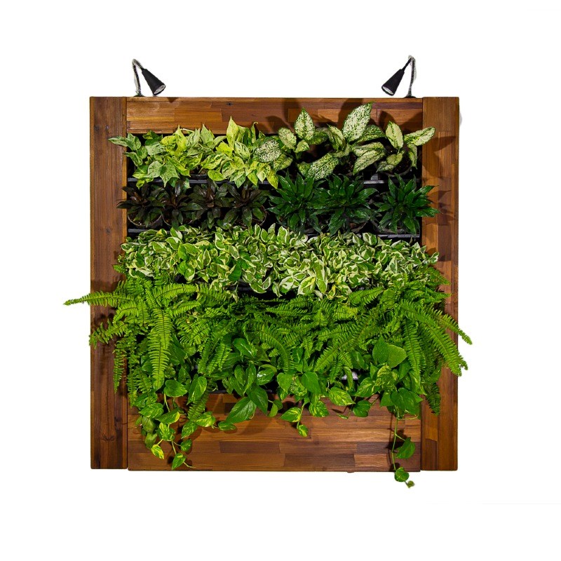 دیوار گل آماده مدرن وزیبا گلدان دیواری – مدل HT-1