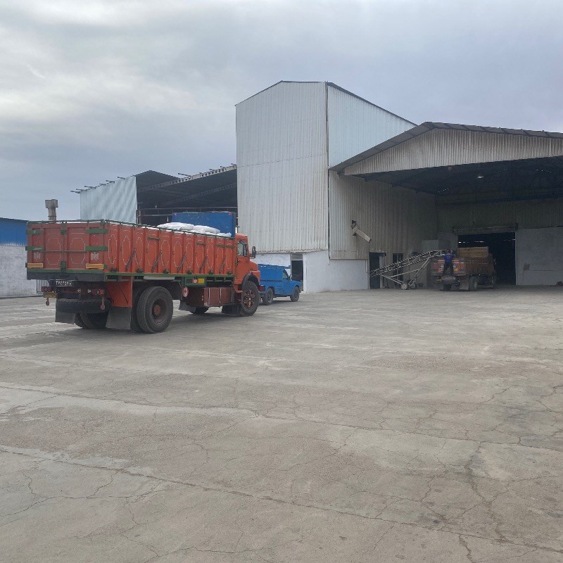 خوراک دام بینالود نیشابور