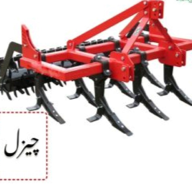 چیزل هفت شاخه