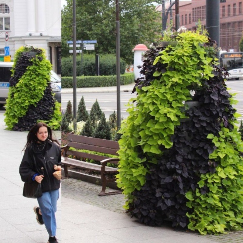 گلدان شهری فلاورباکس