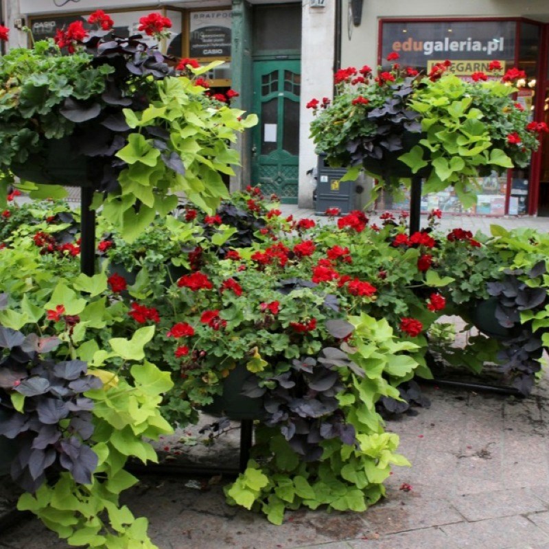 گل جای گلدان طبقاتی هیلدا