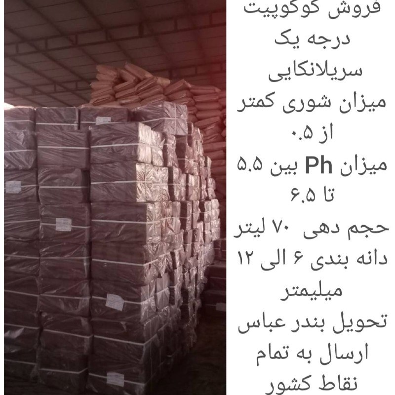 کوکوپیت فاین 