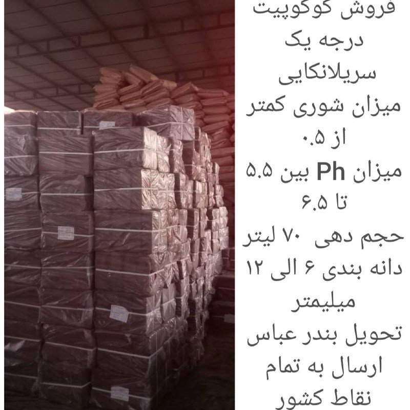 کوکوپیت فاین