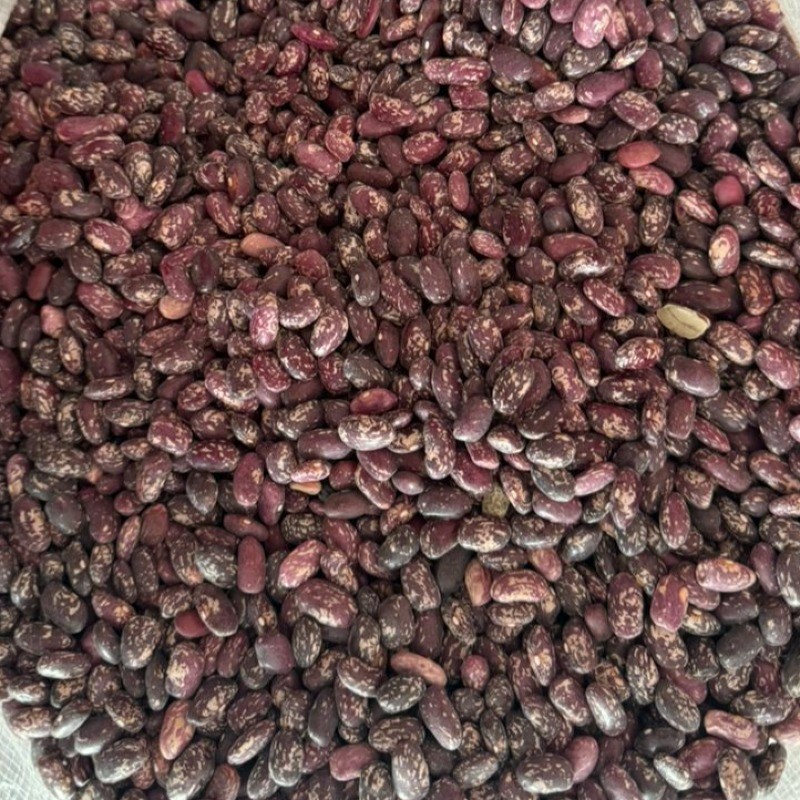 لوبیا چیتی صنعتی