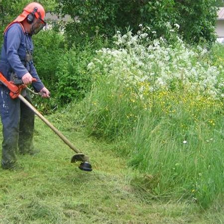 علف زن پشتی ویکتور NTB430 BG