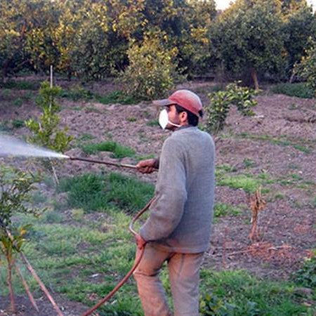 سمپاش زنبه ای با موتور G 160 و پمپ لوشانگ تایوان مدل 16693