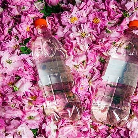 دستگاه تقطیر و دستگاه عرق گیری سطلی 50 لیتری با کندانسور آبی بدون ترمومانومتر