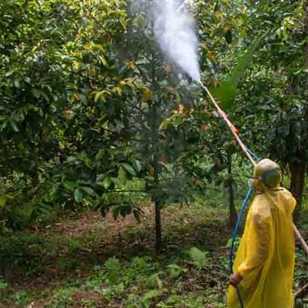 سمپاش زنبه ای با موتور کاوازاکی و پمپ پیستونی 45 مدل 16696