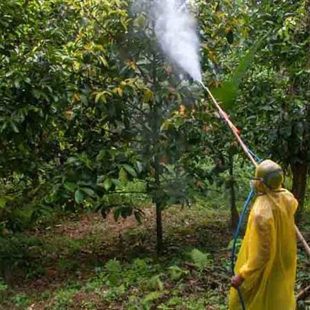 سمپاش زنبه ای با موتور هوندا چین و پمپ پیستونی 45 مدل 16694