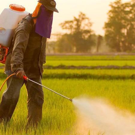 سمپاش پشتی موتوری 25 لیتری AG768 مدل 21758