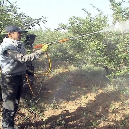 سمپاش 1000 لیتری لانس دار با پمپ برتولینی مدل 16673