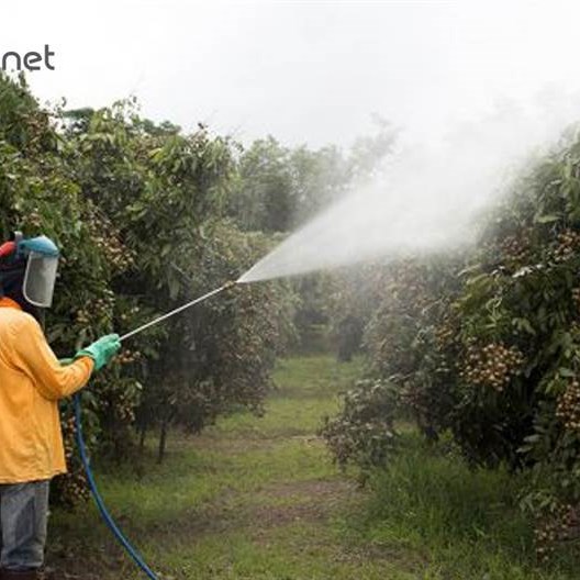 سمپاش زنبه ای با موتور روبین چین و پمپ پیستونی 45 مدل 16698